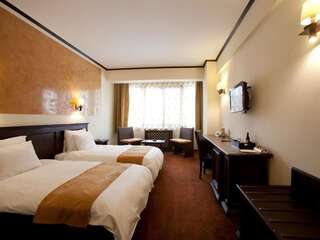 Отель International Bucharest City Centre Hotel Бухарест Стандартный двухместный номер с 2 отдельными кроватями-2
